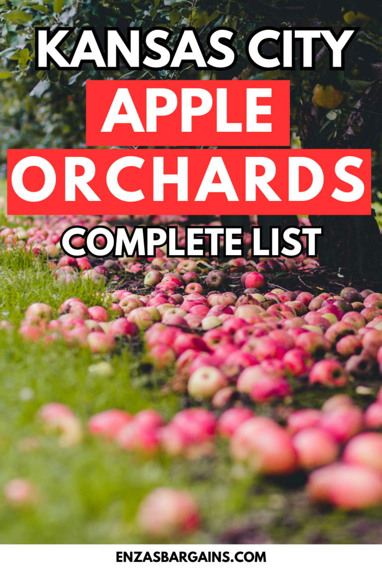 Kansas City Apple Orchards – Everything you need to know!