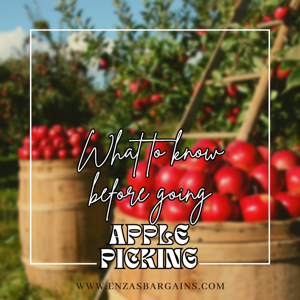 What do know before going, Apple Picking