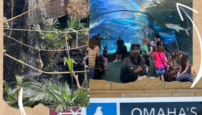 Planning a First Trip to the Omaha Zoo