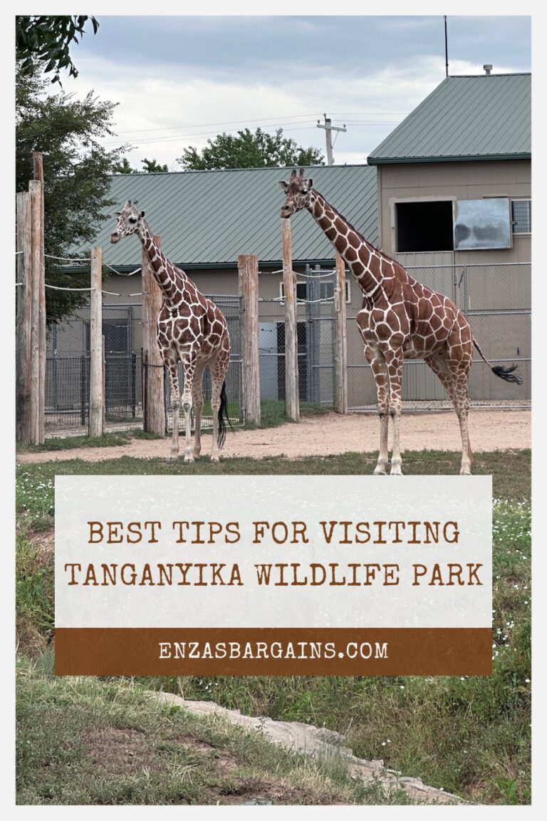 Best Tips for Visiting Tanganyika Wildlife Park