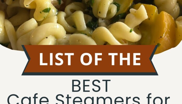 BEST Cafe Steamers for Weight Watchers